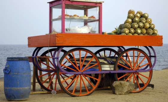 dreamstimemaximum_14245592-Pondicherry-Beach