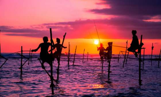 The Traditional Stilt Fishermen in Srilanka