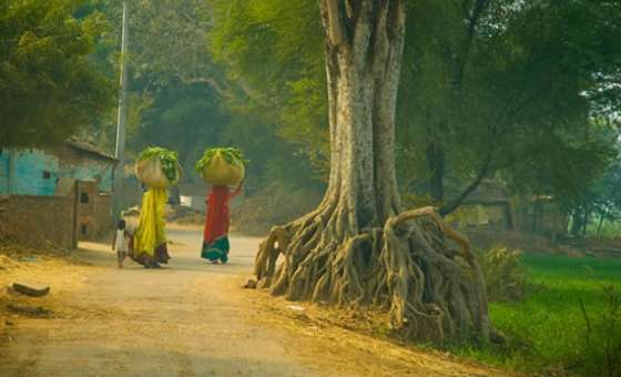 Gadoli Village Rajasthan