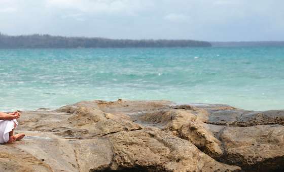 Havelock Island Andaman Nicobar