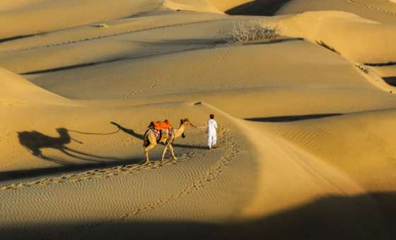 Thar Desert