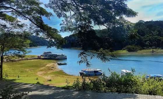 Thekkady Boat Safari