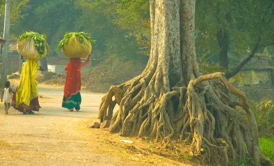 Gadoli Village Rajasthan