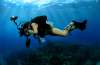 Diving Activities Negombo