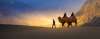 Nubra Valley Ladakh Camel Safari