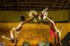Kalaripayattu Martial Arts Kerala