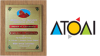 Excellence Award, ATOAI 2007