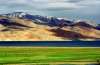 Wikimedia - Karakoram West Tibetan Plateau alpine steppe, Teaser